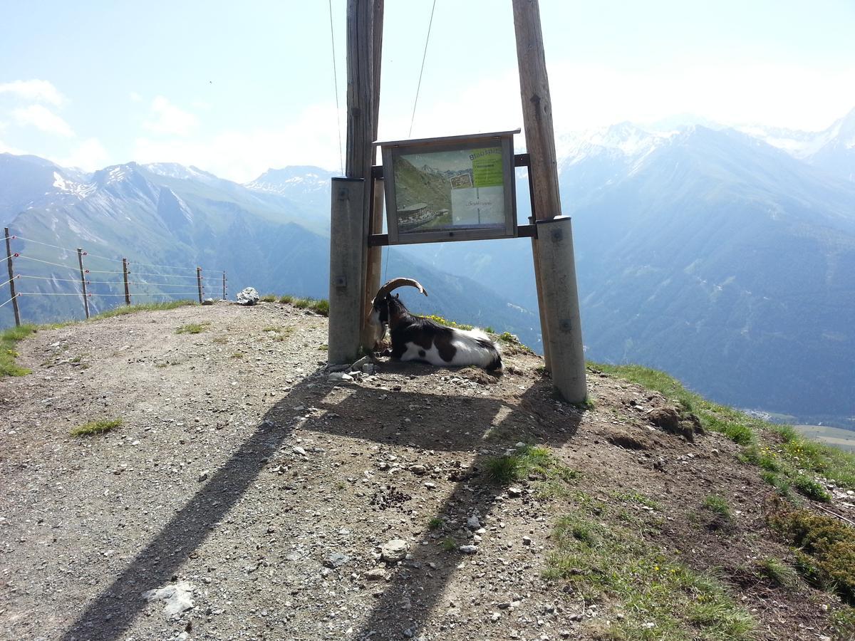 Haus Ursula Apartman Kals-am Großglockner Kültér fotó